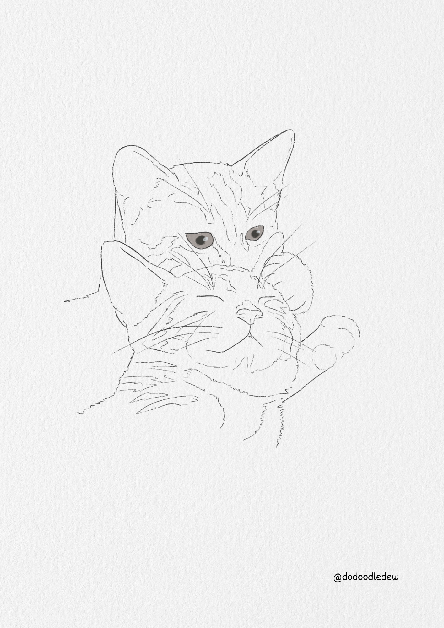 Pet Portrait Line Art