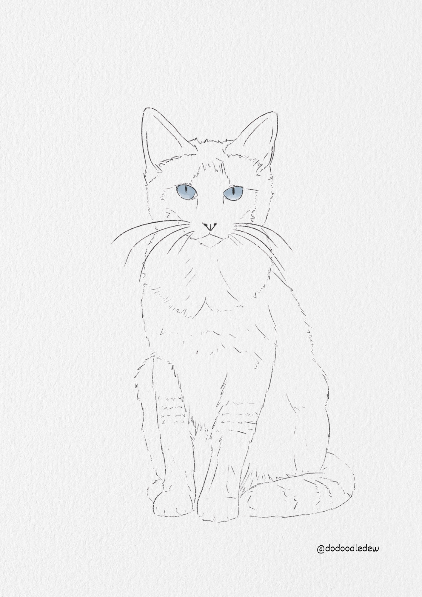 Pet Portrait Line Art